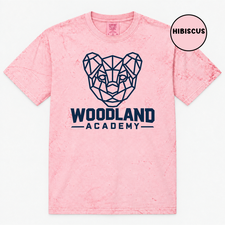 Woodland 4 Tshirt (CC Color Blast)