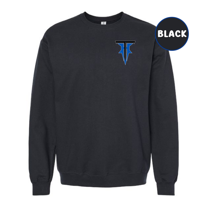 Hall Titans Sweatshirt 3 (Gildan)